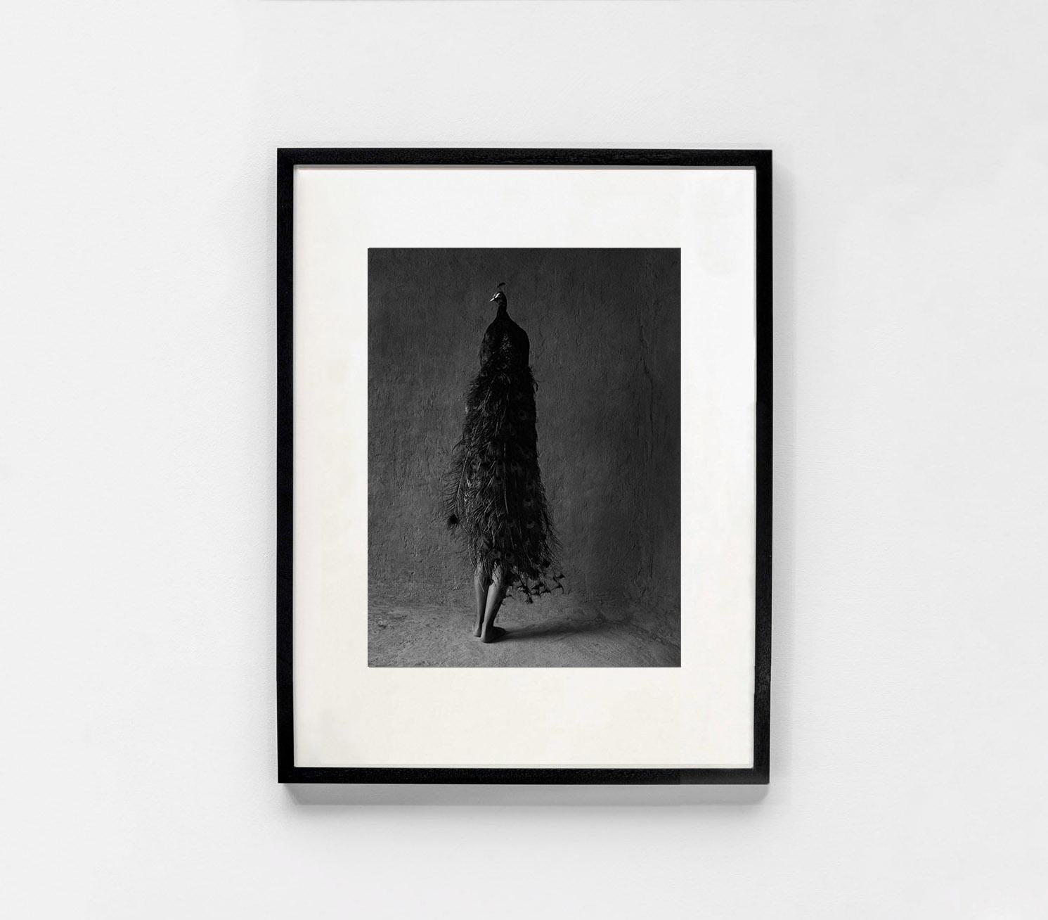 Pavoreal, México, 1999 - Flor Garduño (Black and White Photography) For Sale 1