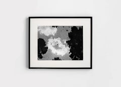 Santuario de las Mariposas, Mexico, 1987 - Flor Garduño (Black and White)