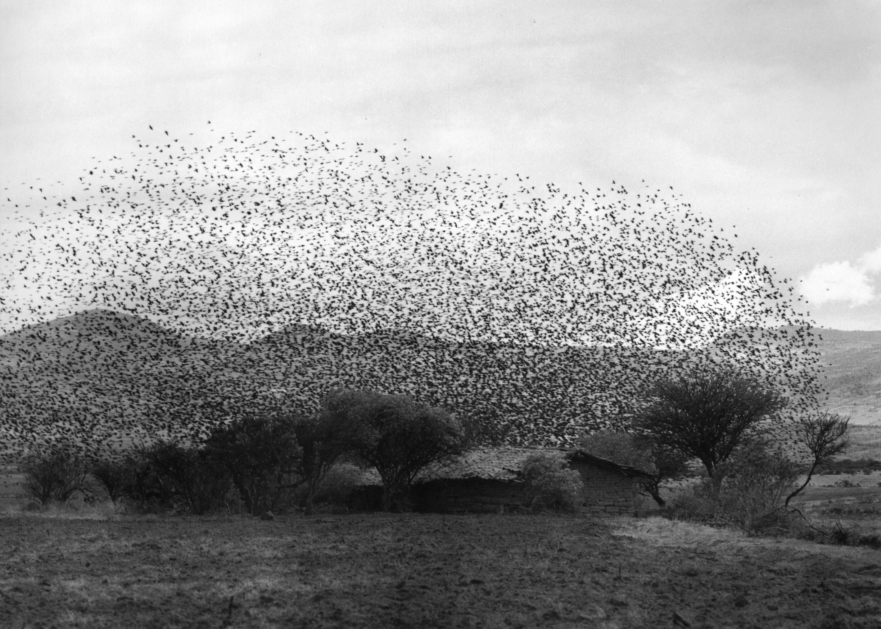 Flor Garduño  Black and White Photograph - Nube, Jocotitlán, México, 1982