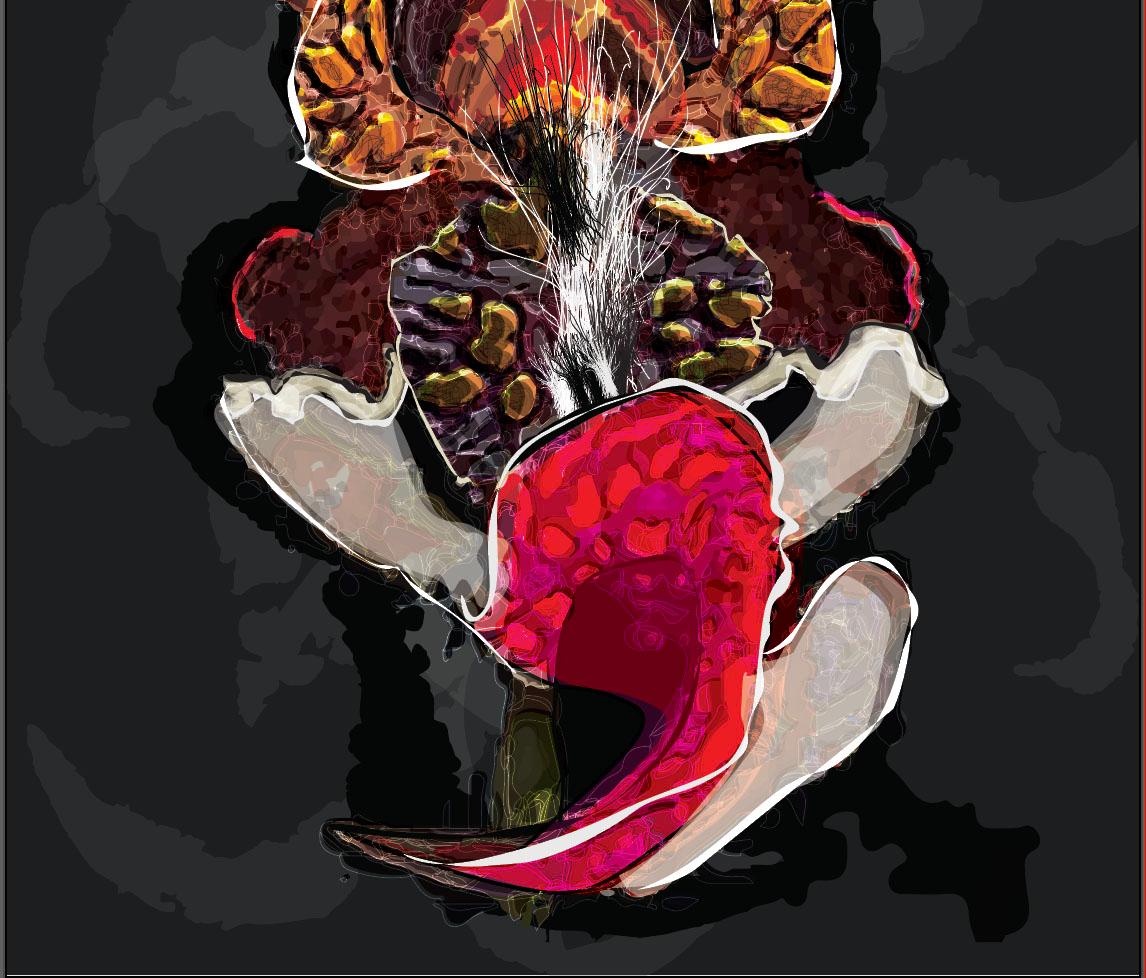 Altro Flor / Taxonomía Botánica / Selene Lazcarro in vendita