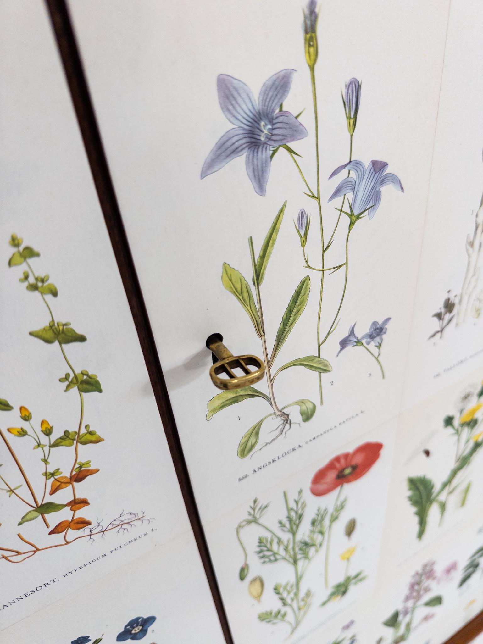 Metà XX secolo Mobile Flora - Carlsson & Reicke, Stoccolma, anni '50 in vendita