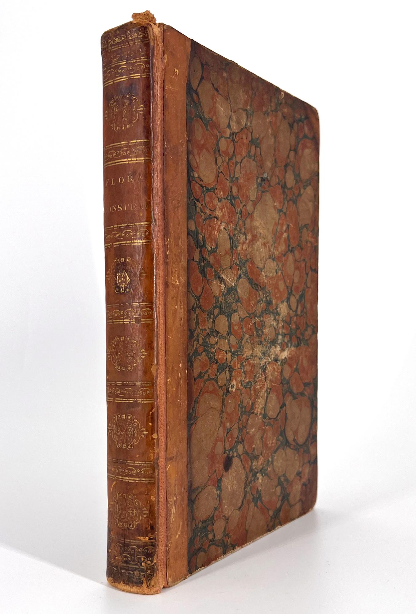 19th Century Flora Conspicua by Richard Morris For Sale