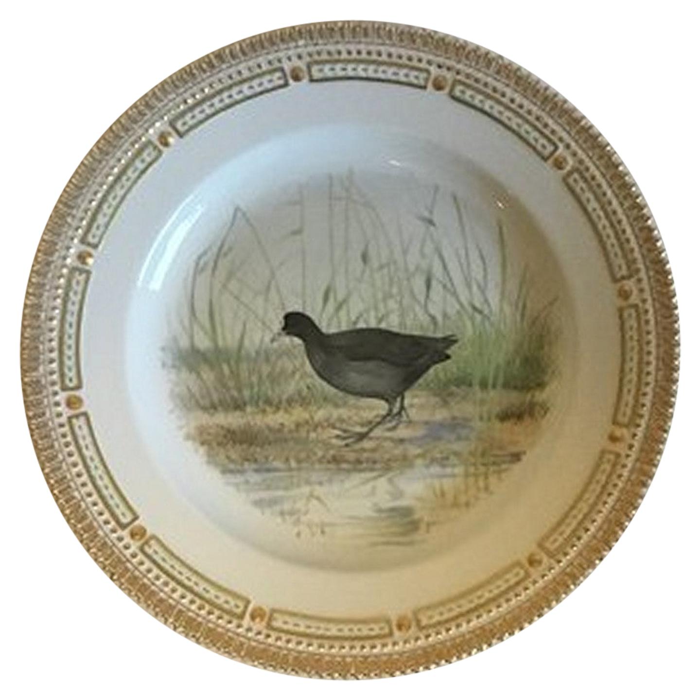 12 Dinner Plates Birds Ornithological Antique Dresden A. Lamm