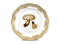 Flora Danica Fungi Dinner Plates by Royal Copenhagen