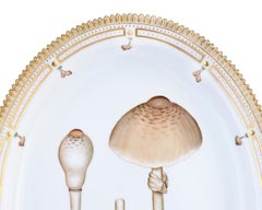 Flora Danica Fungi Oval Platter by Royal Copenhagen