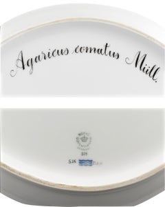 Flora Danica Fungi Oval Platter by Royal Copenhagen