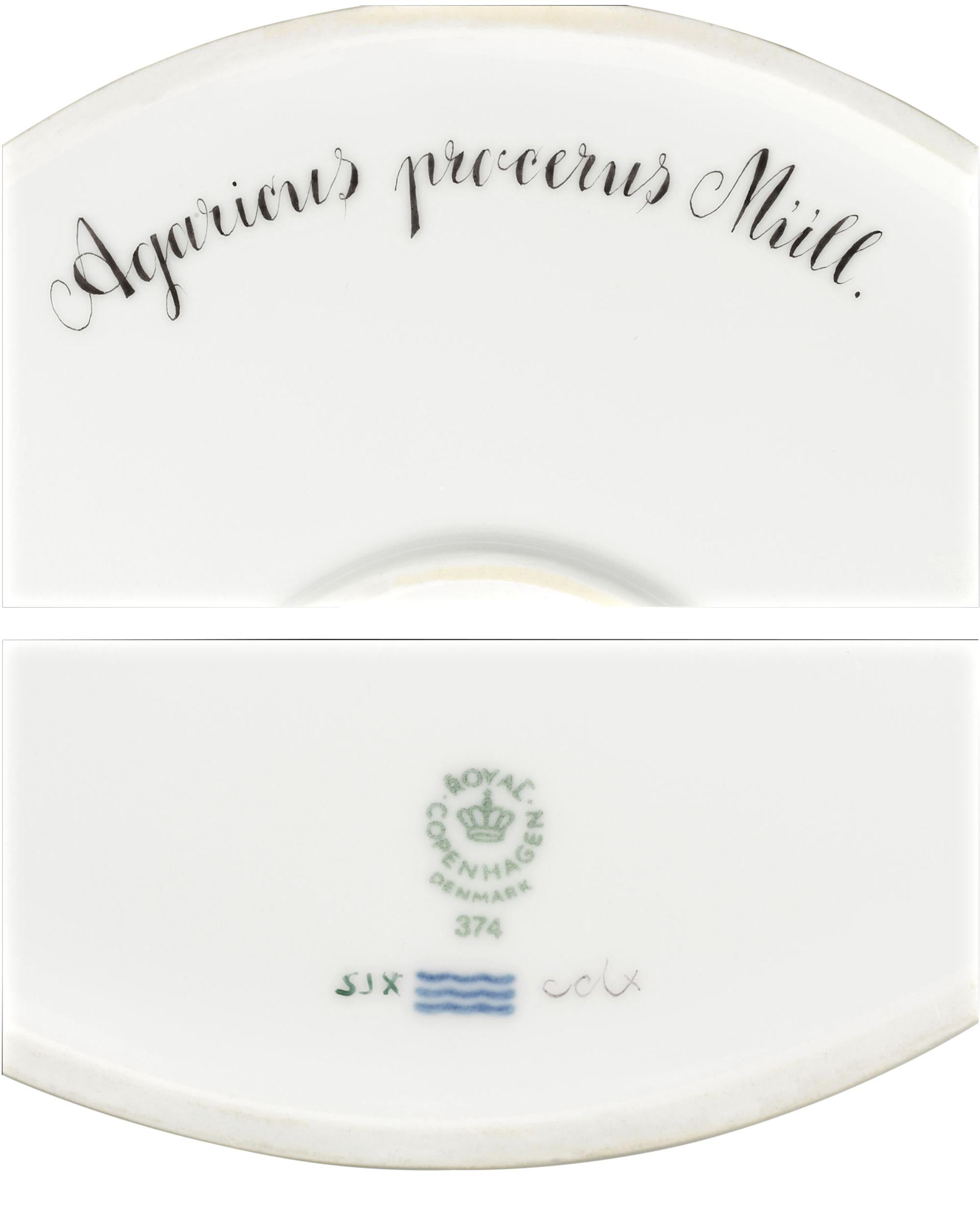 This exceptional Royal Copenhagen porcelain platter was custom-crafted in the famed Flora Danica Fungi pattern. Flora Danica is known worldwide for its extraordinary illustrations of native flowers of Denmark, but this dish is part of a very special