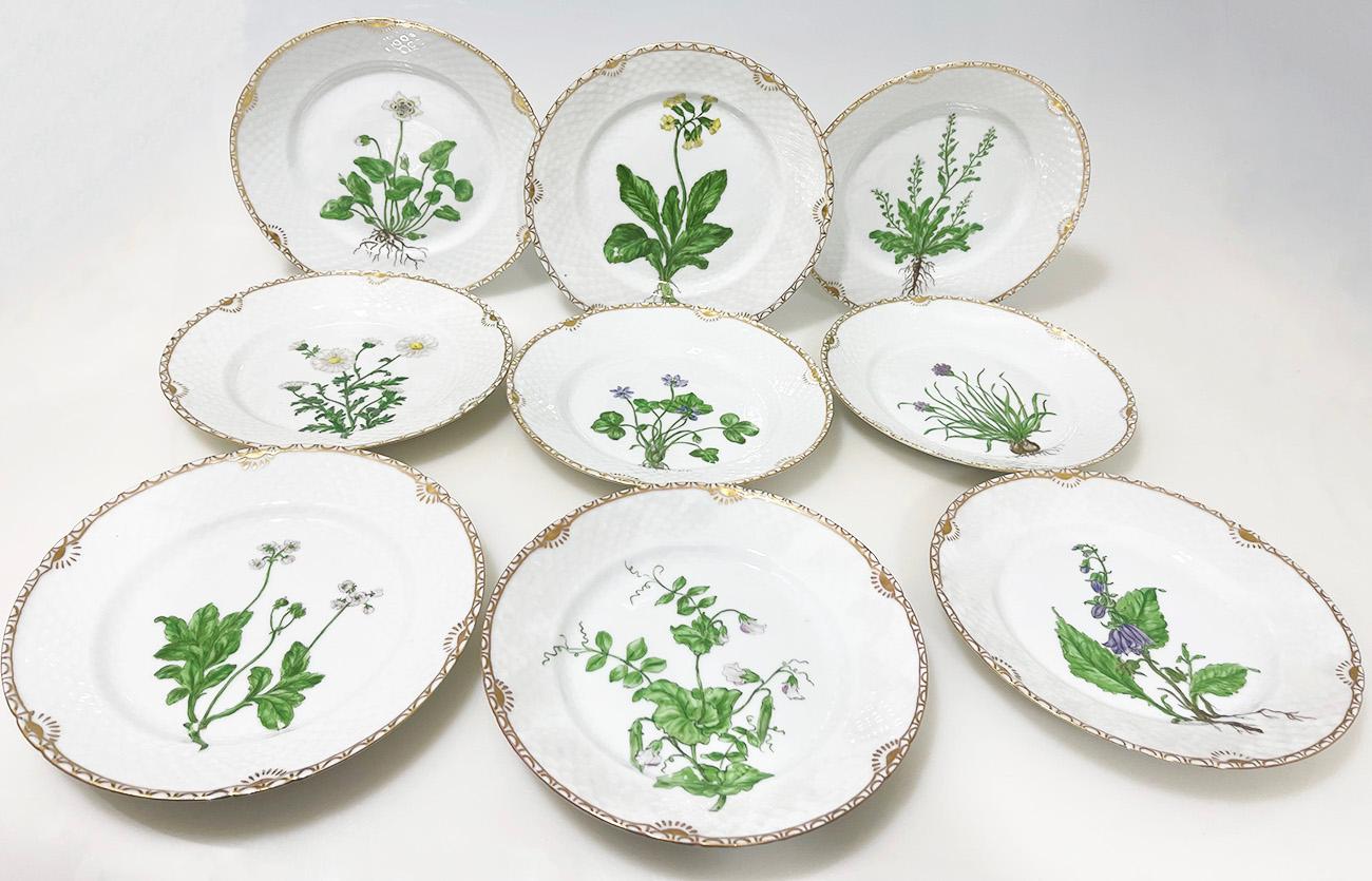Assiettes à déjeuner en porcelaine Flora Danica par Bing & Grøndahl, Danemark 1927-1928

Assiettes à déjeuner en porcelaine de Bing & Grøndahl peintes à la main par Frida Meyer (Gluud) 
Ensemble de neuf assiettes à déjeuner en porcelaine, dont