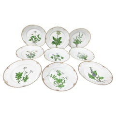 Platos de desayuno de porcelana Flora Danica de Bing & Grøndahl, Dinamarca 1927-1928