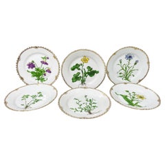 Flora Danica porcelain dessert plates by Bing & Grøndahl, Denmark 1926-1930