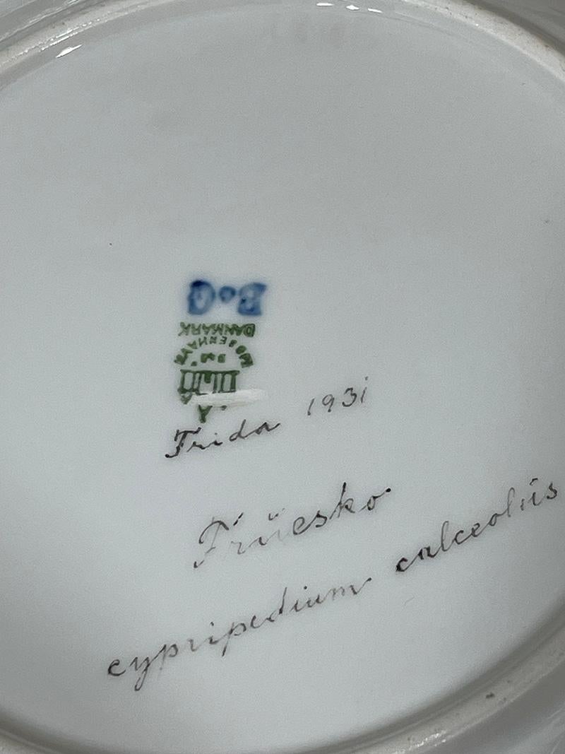 Flora Danica porcelain dinner plates by Bing & Grøndahl, Denmark 1927-1933 4