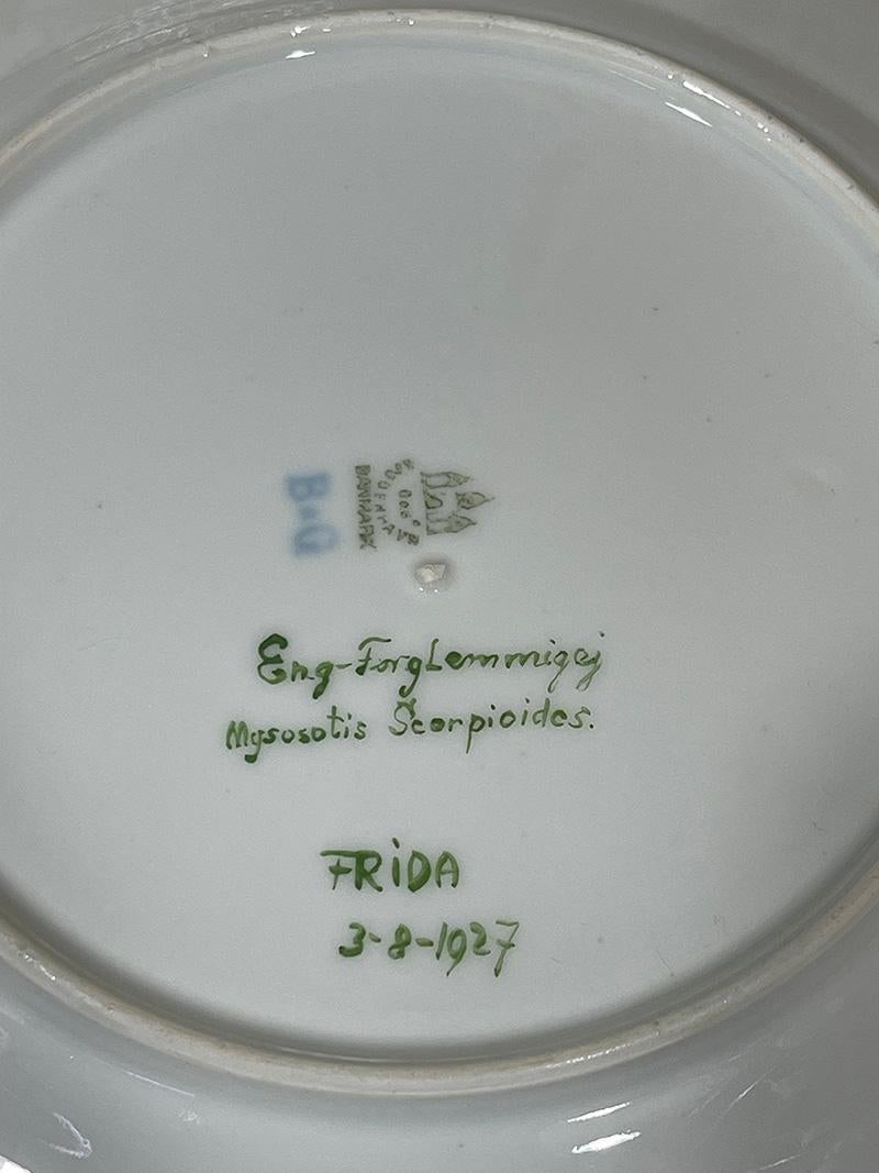Flora Danica porcelain dinner plates by Bing & Grøndahl, Denmark 1927-1933 5
