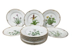 Flora Danica porcelain dinner plates by Bing & Grøndahl, Denmark 1927-1933