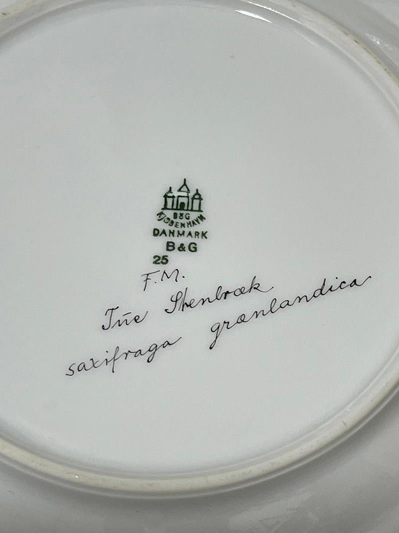 Flora Danica porcelain dinner plates by Bing & Grøndahl, Denmark 1927-1933 2