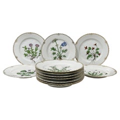Flora Danica porcelain dinner plates by Bing & Grøndahl, Denmark 1927-1933