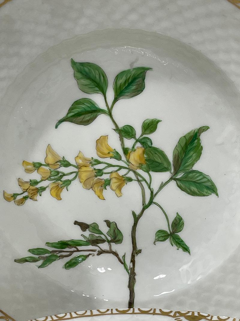 Porcelaine Assiettes à salade en porcelaine Flora Danica par Bing & Grøndahl, Danemark 1928 en vente