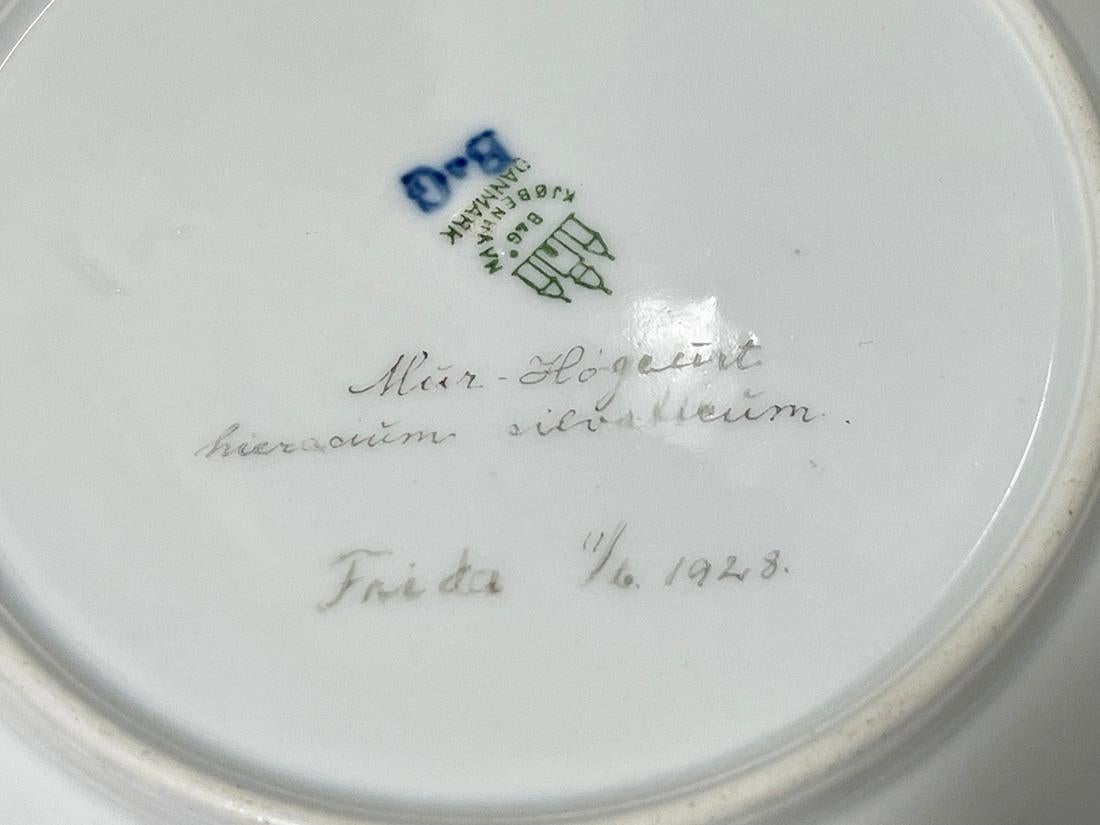 Assiettes à salade en porcelaine Flora Danica par Bing & Grøndahl, Danemark 1928 en vente 3