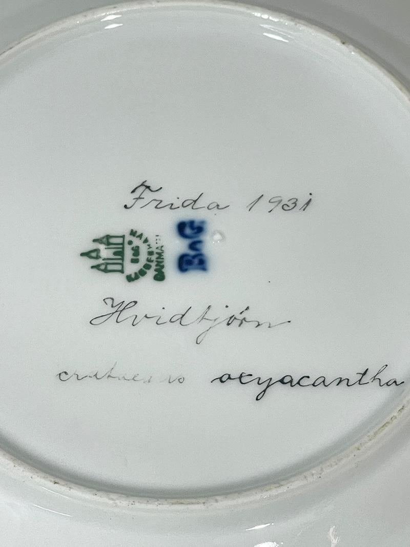 Flora Danica Porzellanset von Bing & Grøndahl, Dänemark 1928-1931 im Angebot 5