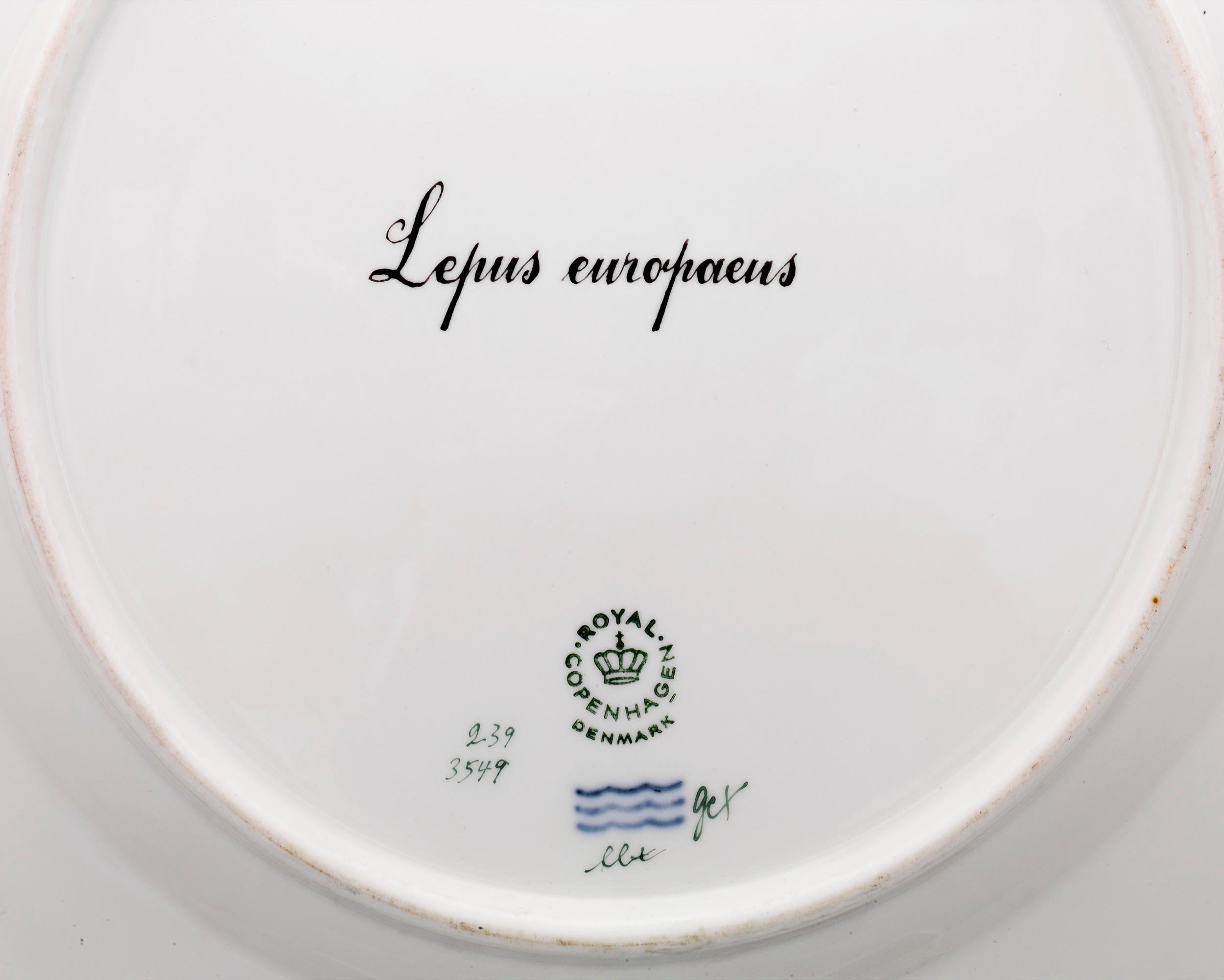 rabbit dinner plates