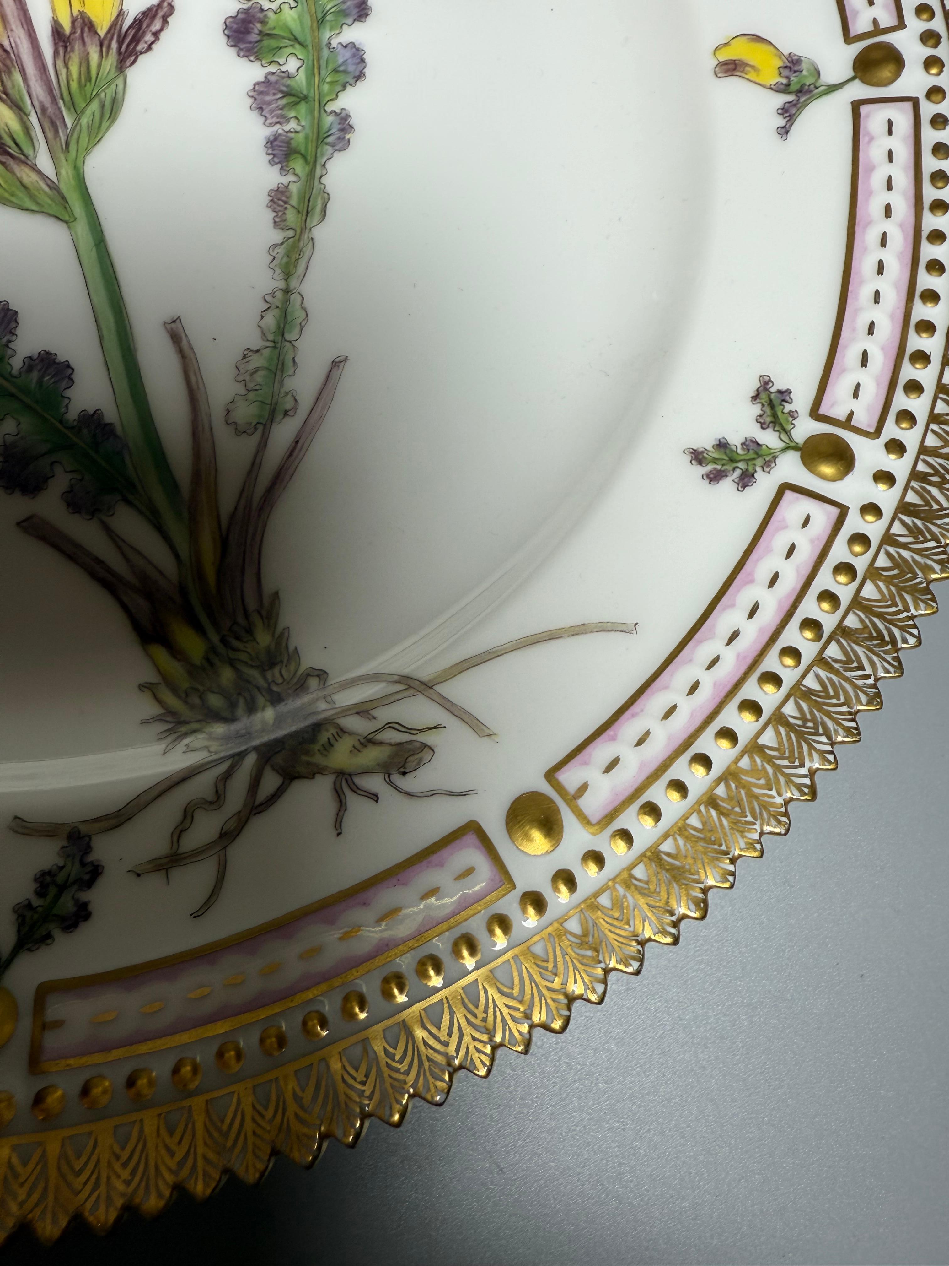 Flora Danica Royal Copenhagen Assiette à dîner 1955 en vente 1