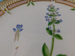 Flora Danica Royal Copenhagen Plate Round Ajuga Repdans L. Blue