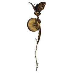 Sconcerto Flora