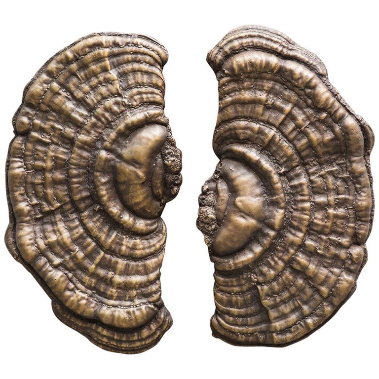Flora Series, Bronze Mushroom Door Pulls, USA For Sale at 1stDibs