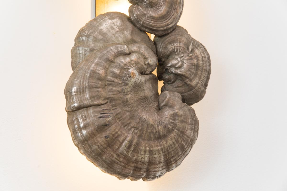 New York-based contemporary sculptor Erin Sullivan employs the labor-intensive lost-wax process to create exquisite, realistic bronze interpretations of her organic subject matter.

The work expresses ideas of time and memory, constant themes in
