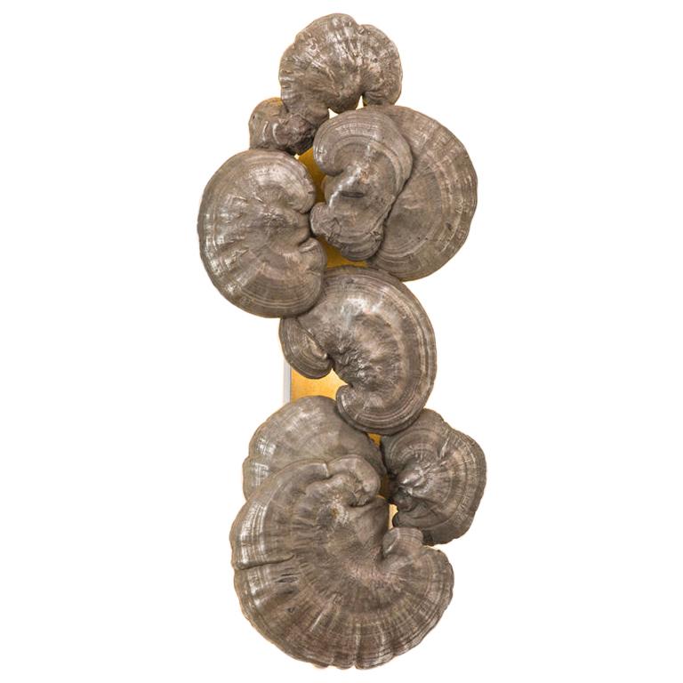 Flora Series, Bronze Mushroom Sconces, USA