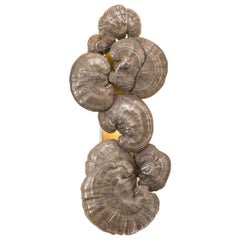 Série Flora, appliques champignon en bronze, États-Unis