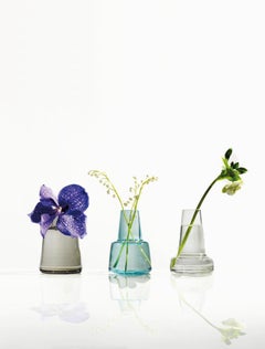 Flora Vase Long Neck Clear