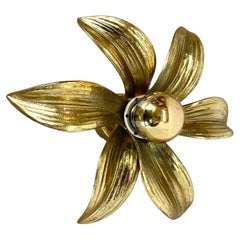 Floral Brutalist Brass Metal Wall Ceiling Light by Willy Daro Belgium, 1970s