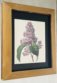 Floral Chromolithograph of Lilacs in Gold Frame