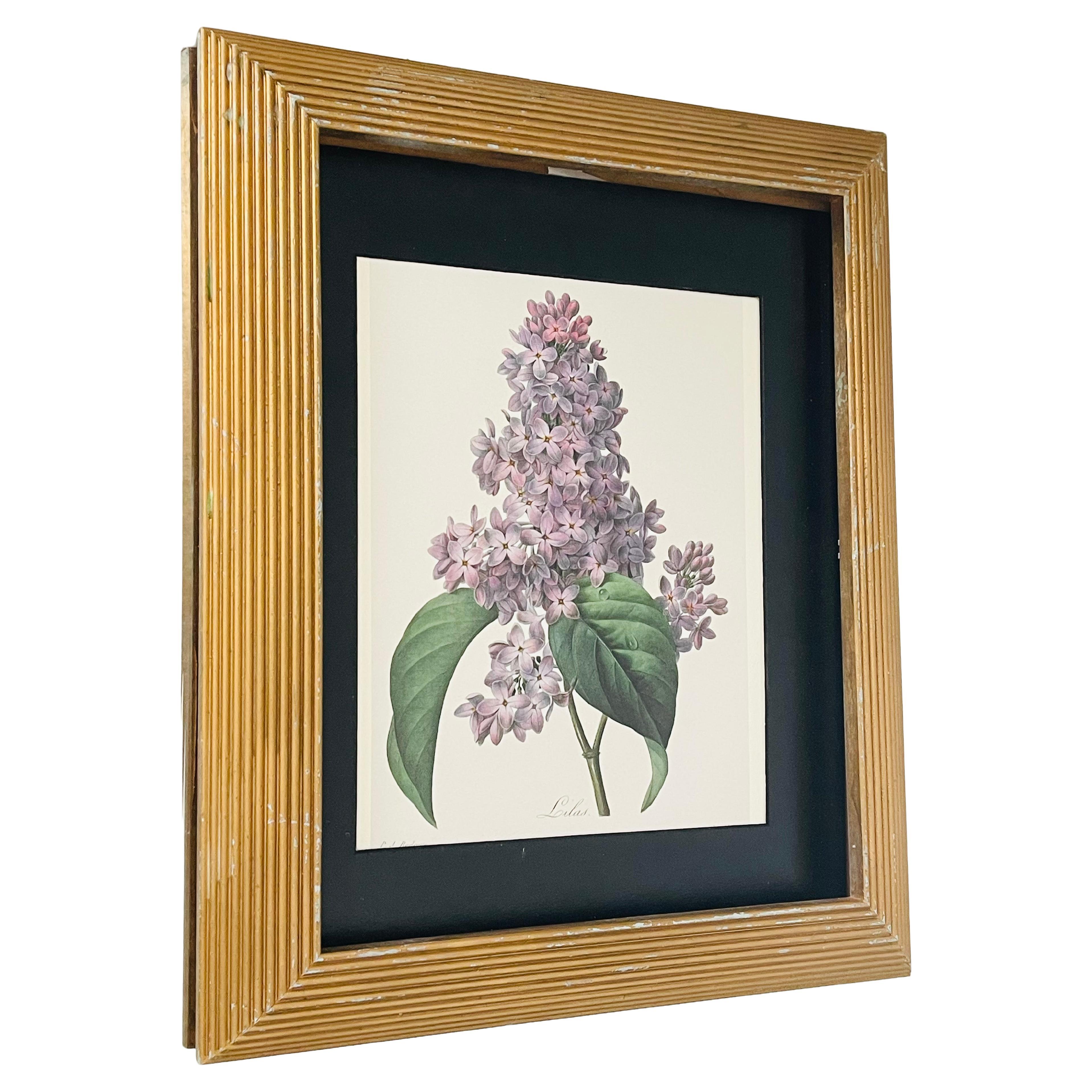 Floral Chromolithograph of Lilacs in Gold Frame For Sale