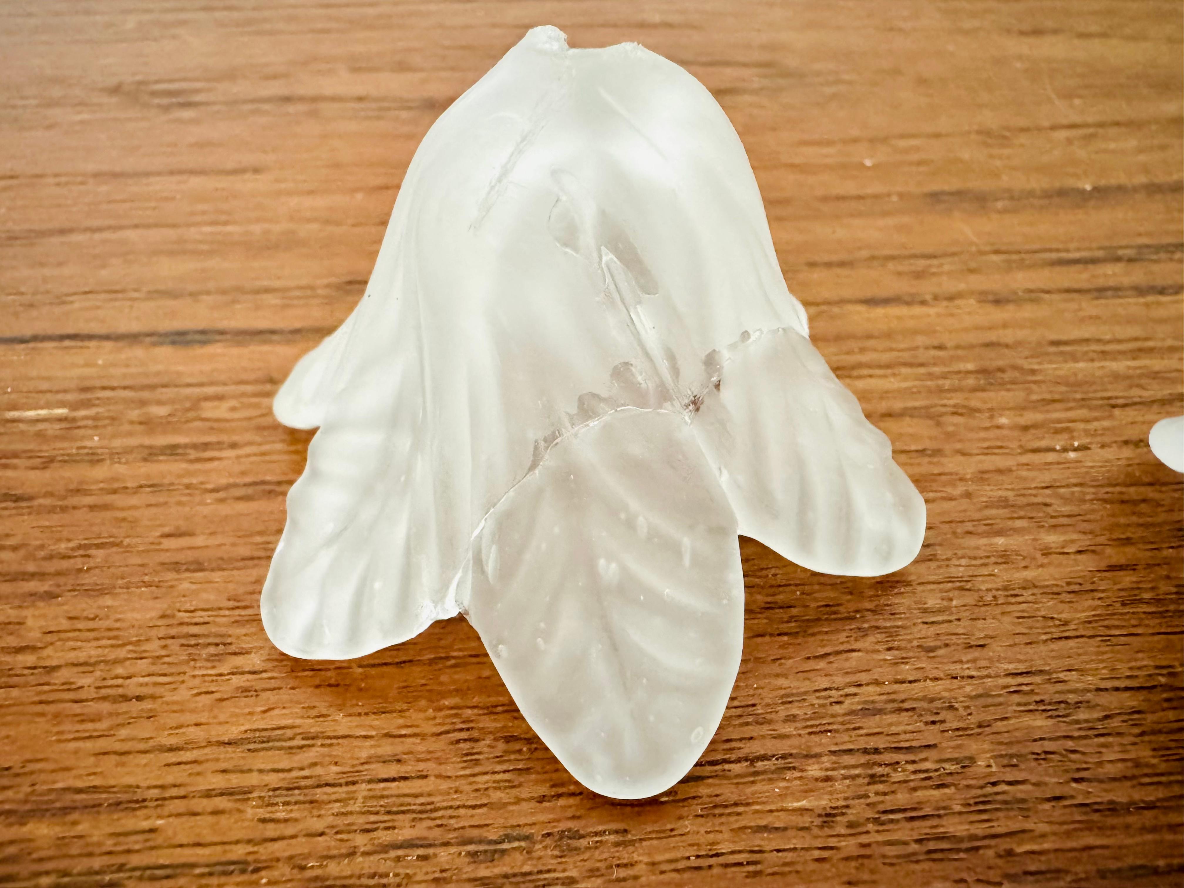 Wandleuchte oder Unterputzleuchte aus Glas und Messing mit Blumenmuster im Angebot 12