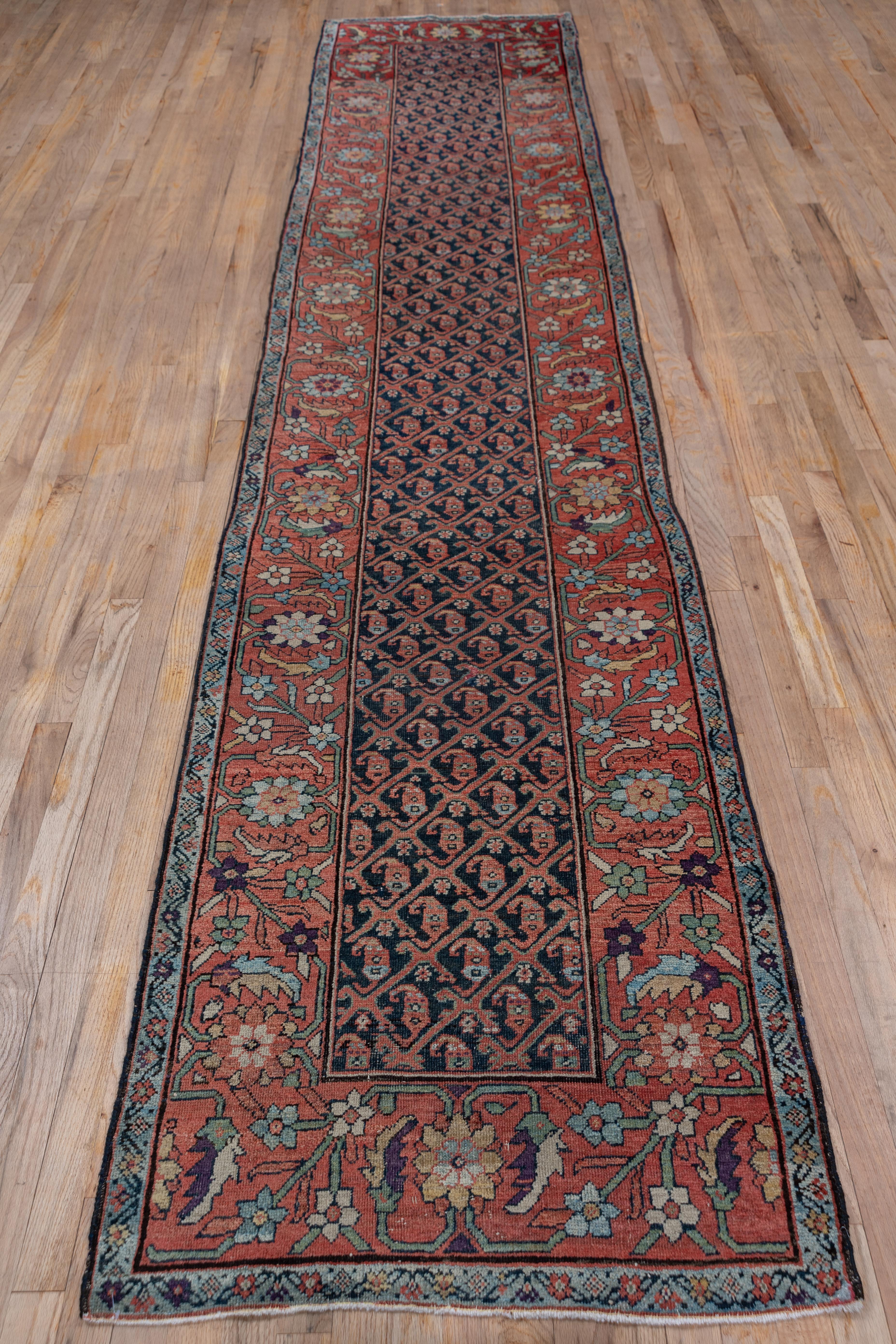 The field is somewhat ribbed on this interrupted lozenge lattice and botteh pattern west Persian runner. The charcoal field is detailed in soft terracotta and the bottehs all face to the left. The abrashed terracotta wide border displays the
