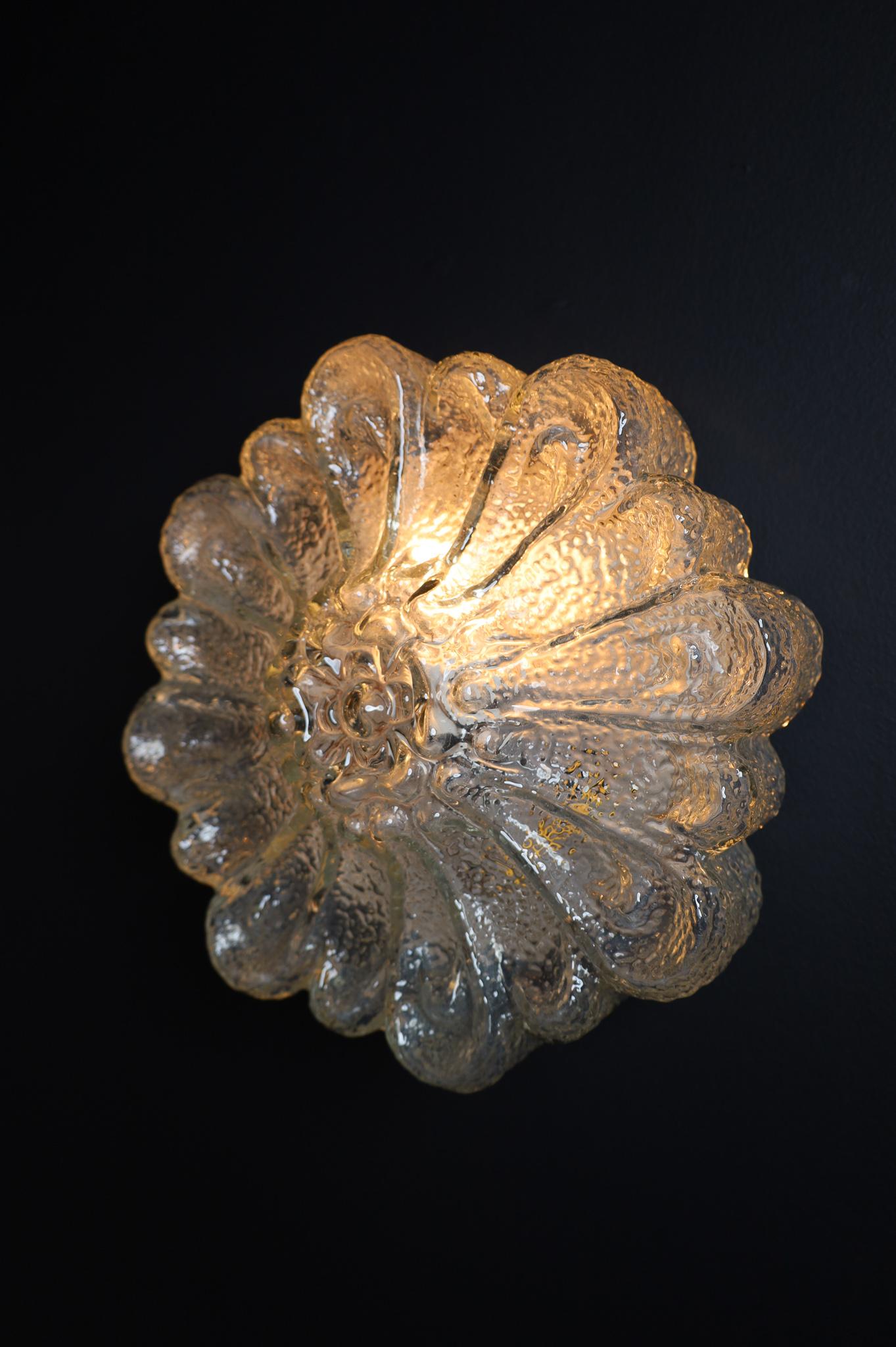Floral Shape Flush Mount or Wall Light Germany 1960s 1