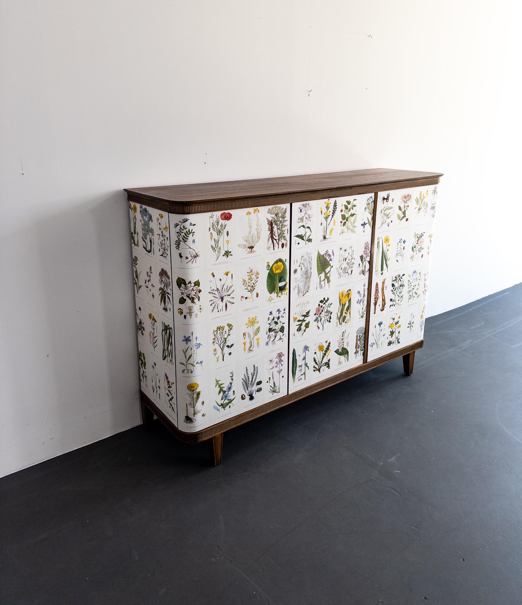 A rare and captivating Swedish Modern sideboard from the 1940s, beautifully updated with decoupaged panels featuring botanical illustrations from Nordens Flora, reminiscent of Josef Frank’s imaginative and nature-driven designs for Svenskt