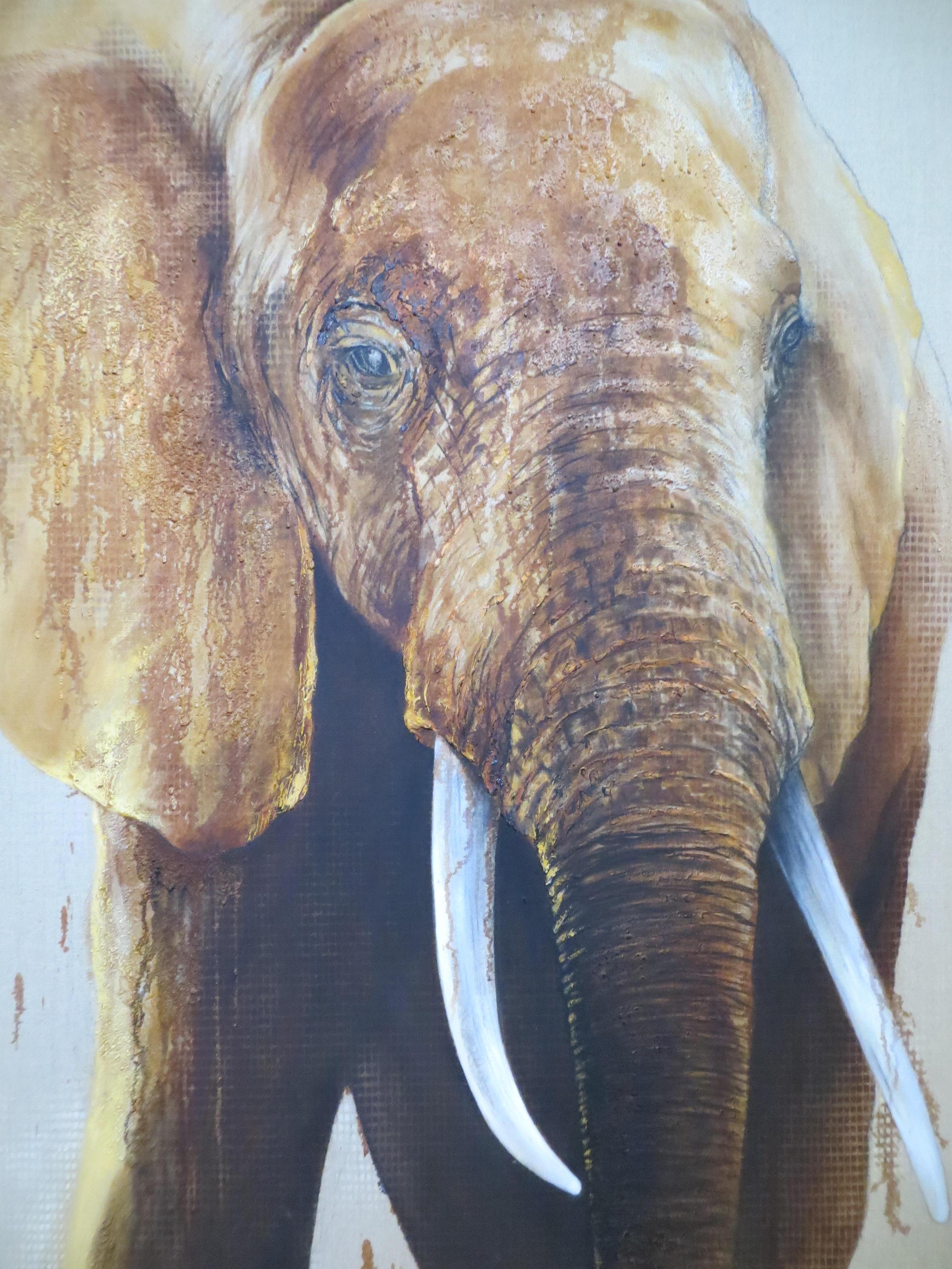 Le opere d'arte di Florence Cadène sono come la storia naturale, una memoria sensibile nel cuore delle nazioni animali, una possibile comunione tra gli occhi degli esseri umani e tutte le dimensioni della vita.

Florence nutre fin dalla prima
