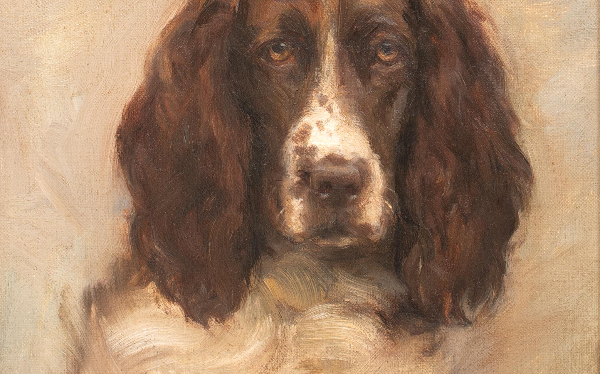 Portrait of a Springer Spaniel, 19th Century  by FLORENCE JAY (circa 1900) 6