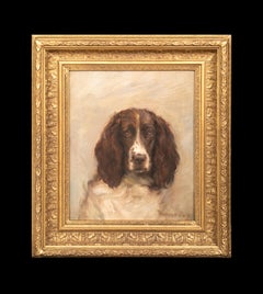 Portrait of a Springer Spaniel, 19th Century  by FLORENCE JAY (circa 1900)