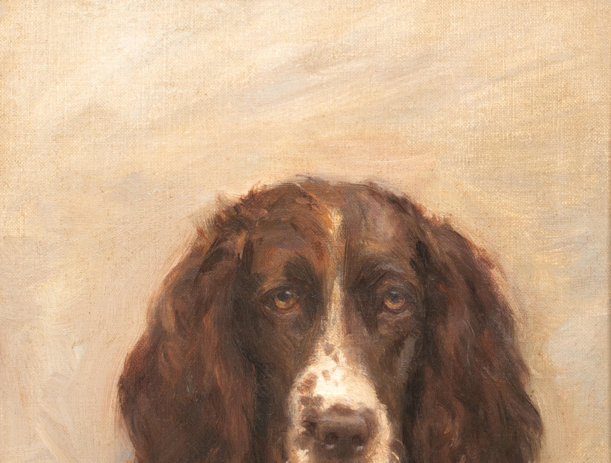 Portrait of a Springer Spaniel, 19th Century  by FLORENCE JAY (circa 1900) 2