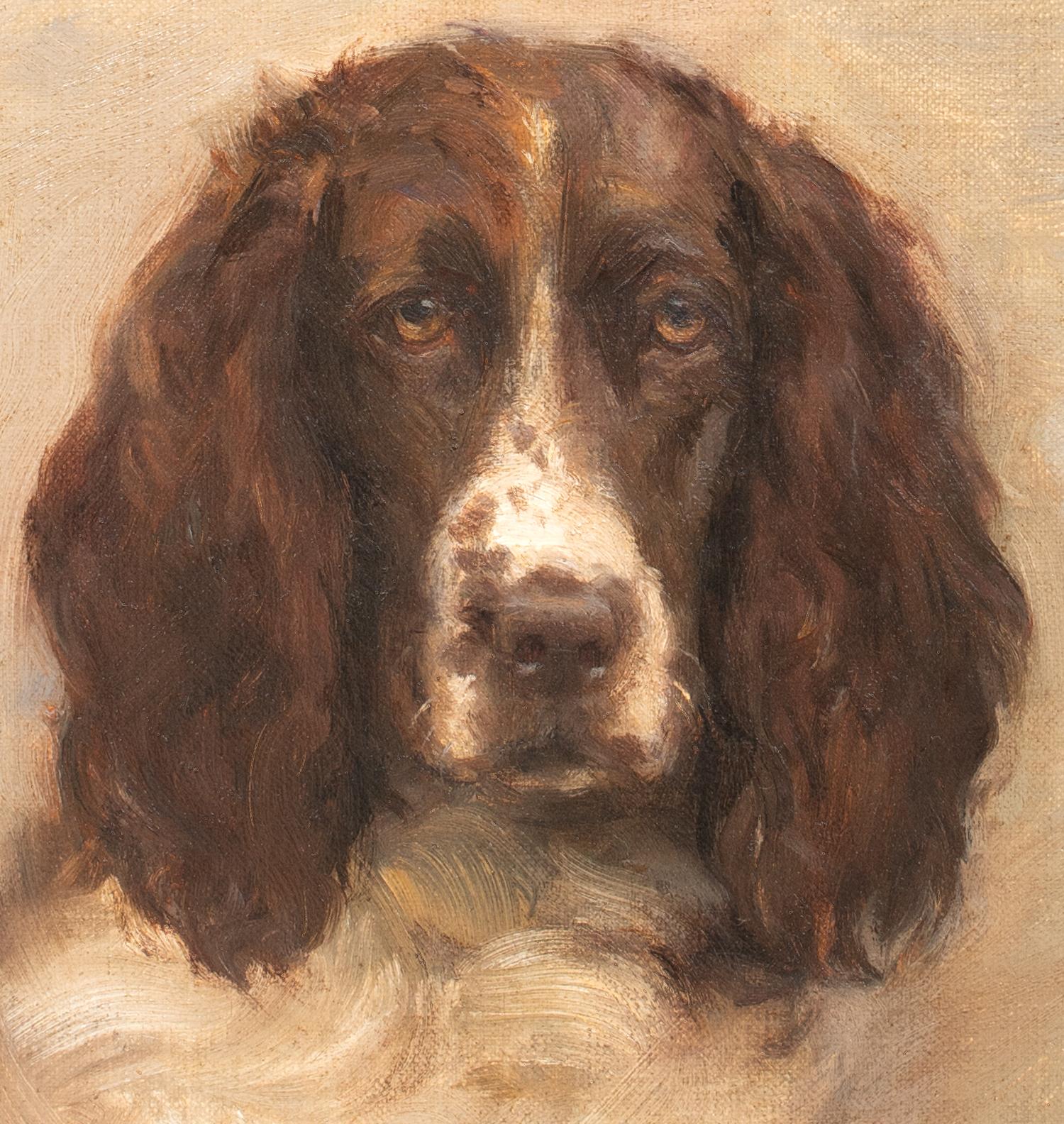 Portrait of a Springer Spaniel, 19th Century  by FLORENCE JAY (circa 1900) 3