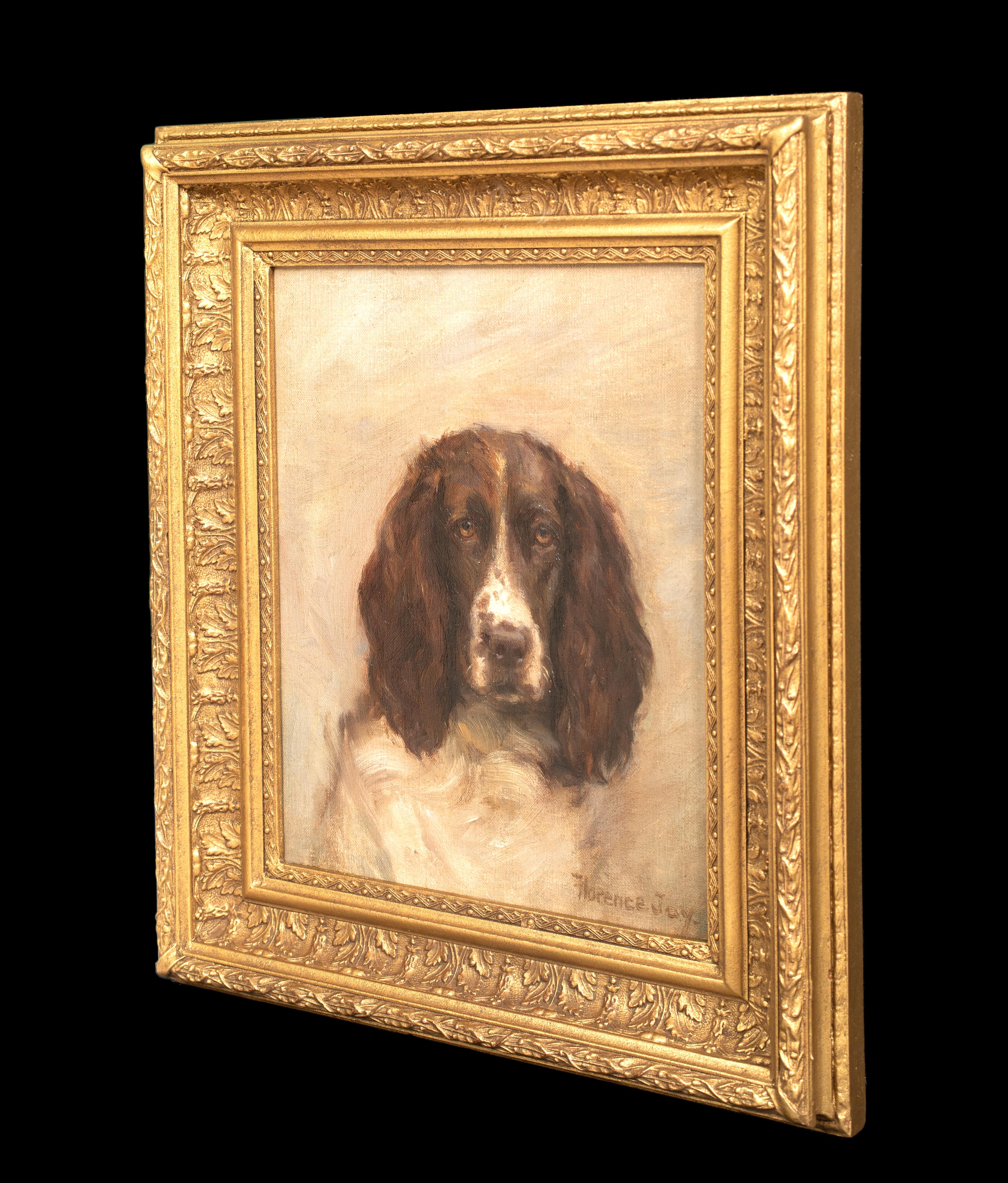 Portrait of a Springer Spaniel, 19th Century  by FLORENCE JAY (circa 1900) 4