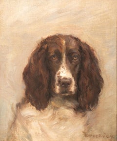 Portrait of a Springer Spaniel, 19th Century  by FLORENCE JAY (circa 1900)