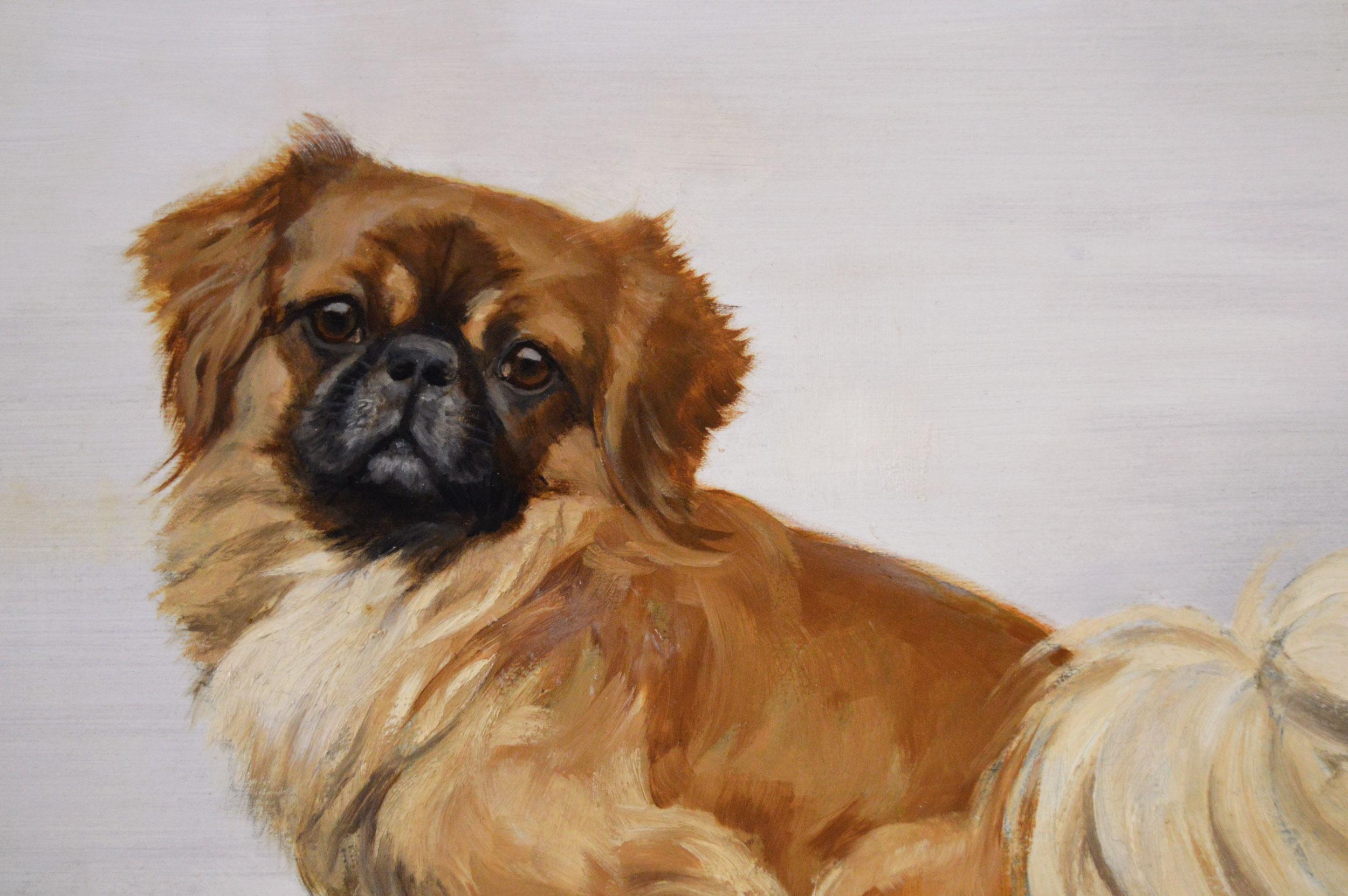 Ritratto di animale dipinto a olio di cane pechinese - Animal Painting Marrone di Florence Mabel Hollams
