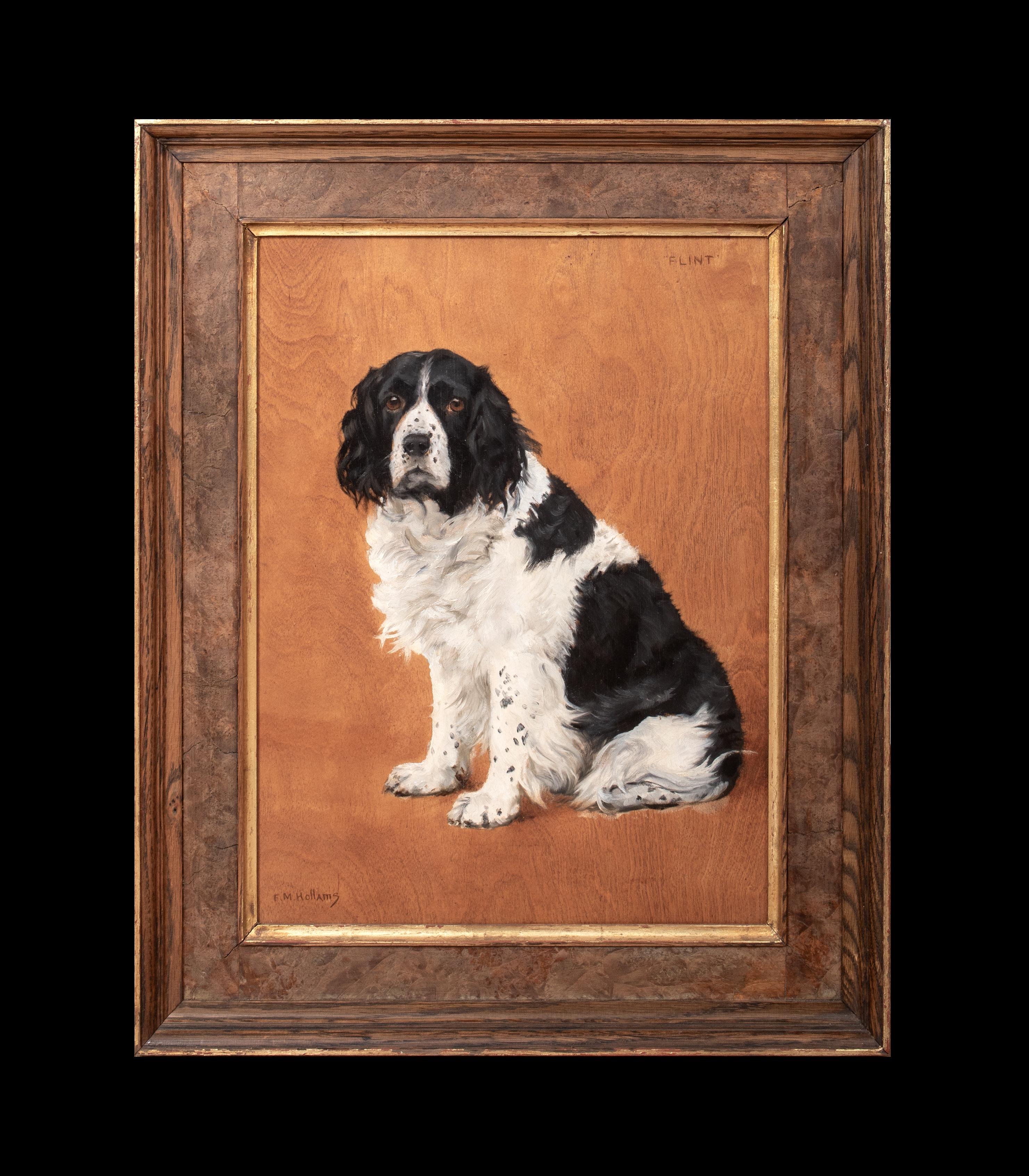 Retrato canino de 