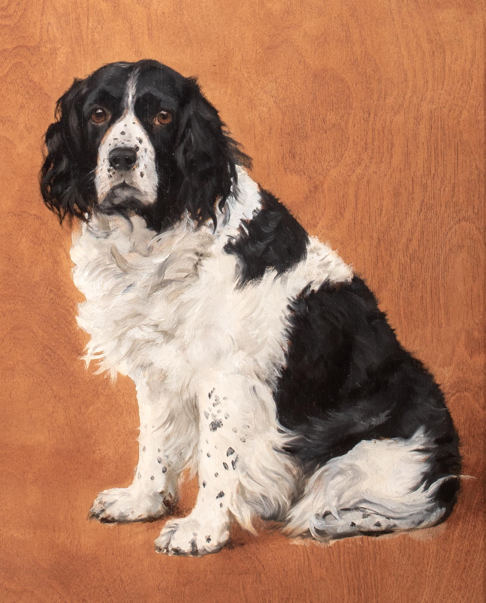 Retrato canino de 