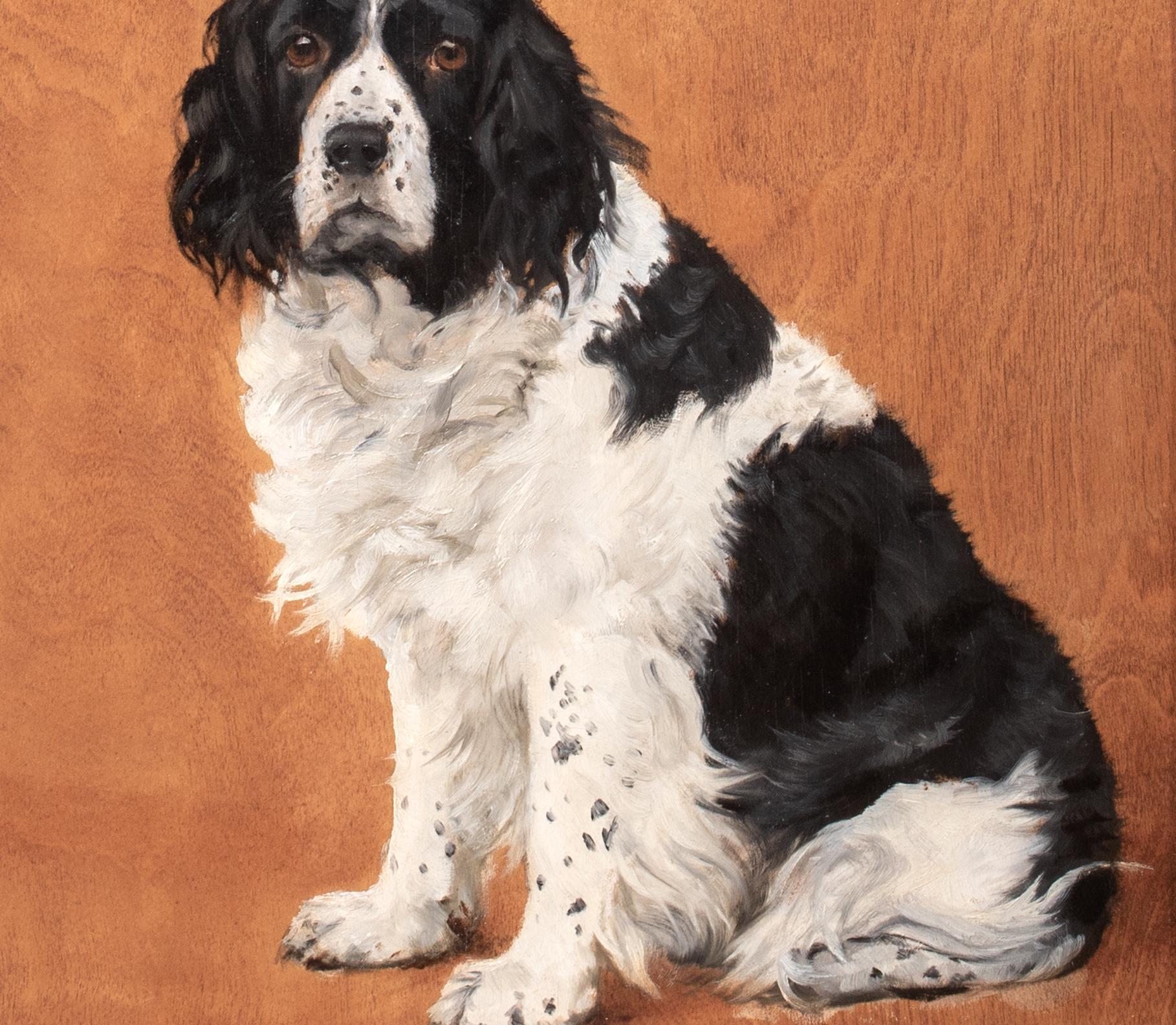 Retrato canino de 