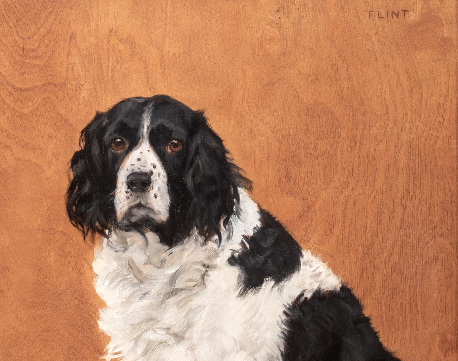 Retrato canino de 